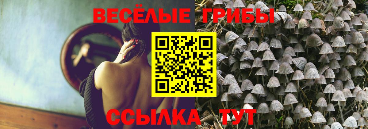 Галлюциногенные грибы MAGIC MUSHROOMS Орёл